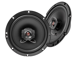 Bass Habit | Rebel R165